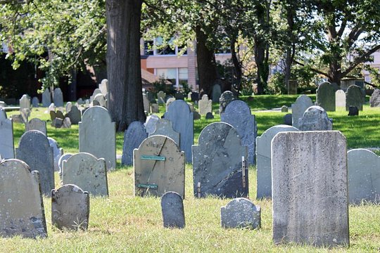 Tour image 5
