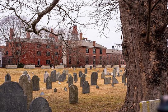 Tour image 9